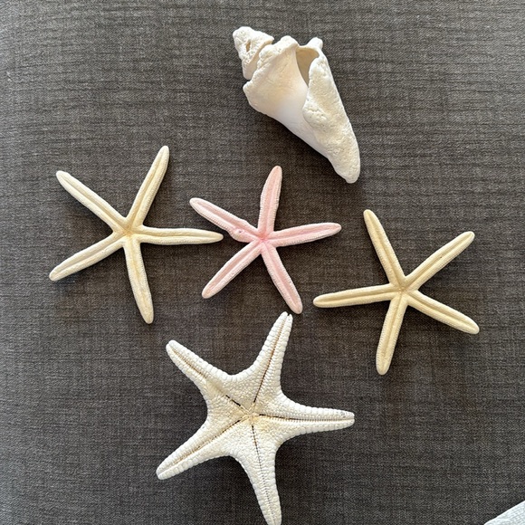 Decorative Starfish and Shell Set - Picture 3 of 3